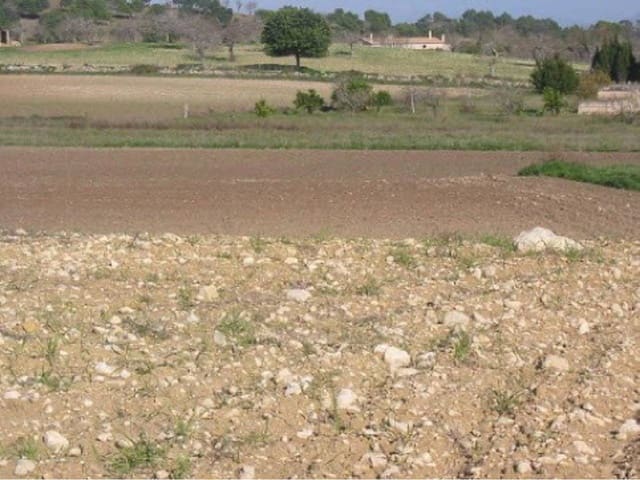 Finca/Maison de Campagne à vendre à Santa Margalida - 190 000 € (Ref: 8940734)