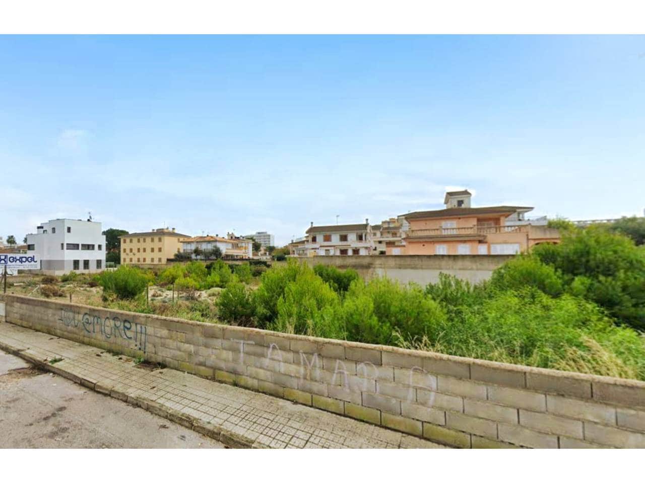 Terre non Aménagée à vendre à Ca'n Picafort - 1 399 000 € (Ref: 9000569)