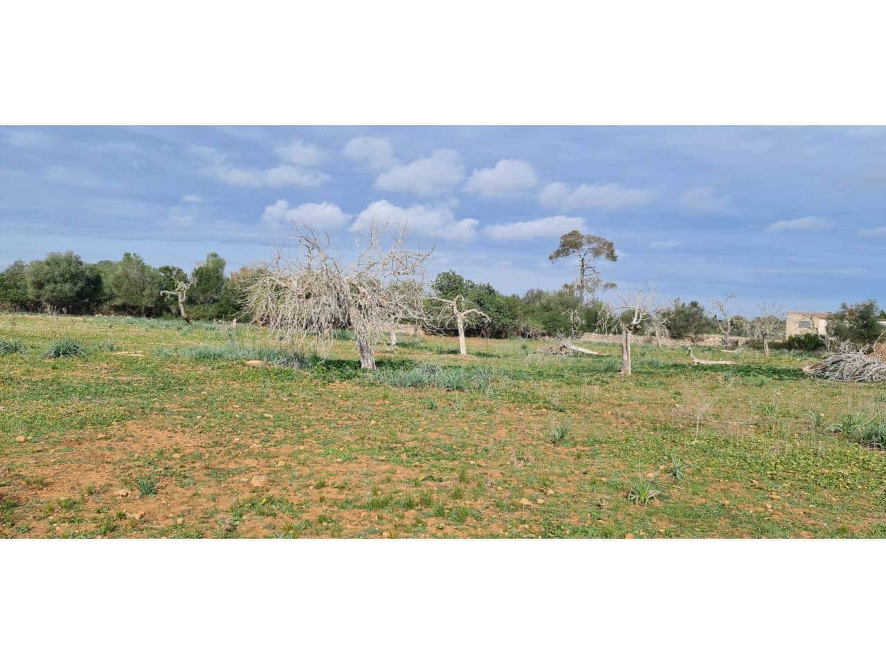 Finca/Country House for sale in Santa Margalida - € 285,000 (Ref: 9108371)