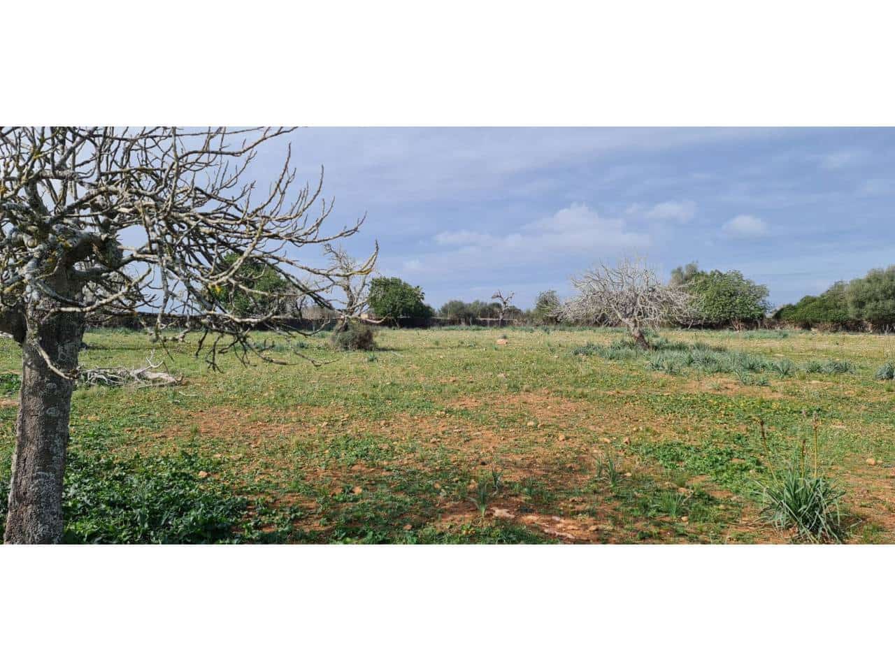 Finca/Country House for sale in Santa Margalida - € 285,000 (Ref: 9108371)