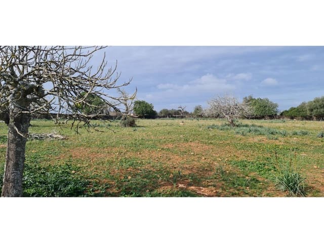 Finca/Maison de Campagne à vendre à Santa Margalida - 285 000 € (Ref: 9108371)