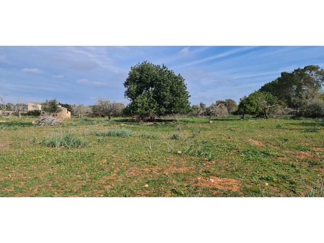 Finca/Maison de Campagne à vendre à Santa Margalida - 285 000 € (Ref: 9108371)