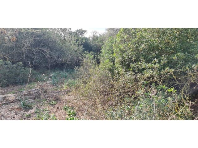 Finca/Maison de Campagne à vendre à Santa Margalida - 285 000 € (Ref: 9108371)