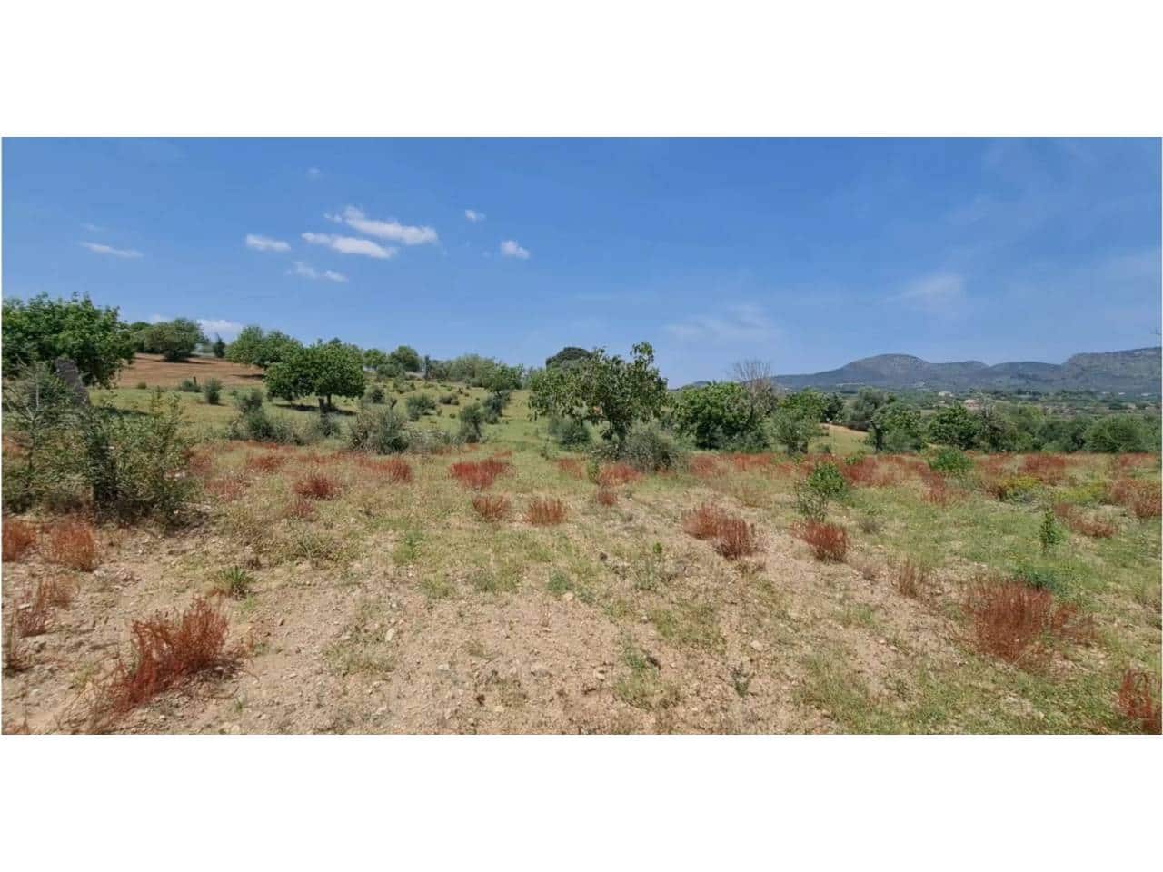 Teren niezagospodarowany na sprzedaż w Sant Llorenc des Cardassar - 285 000 € (Ref: 9329835)