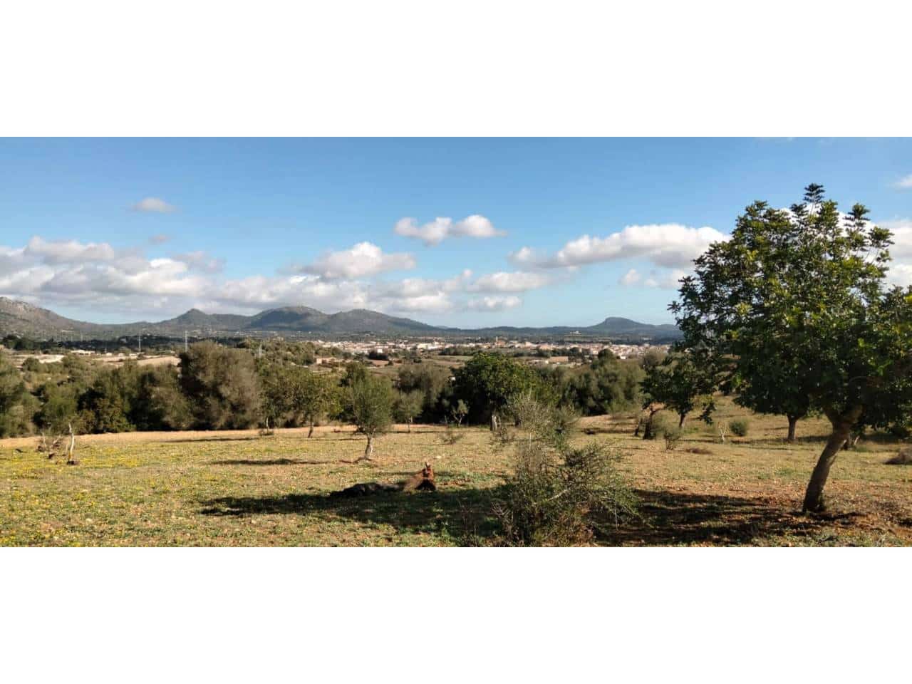 Teren niezagospodarowany na sprzedaż w Sant Llorenc des Cardassar - 285 000 € (Ref: 9329835)