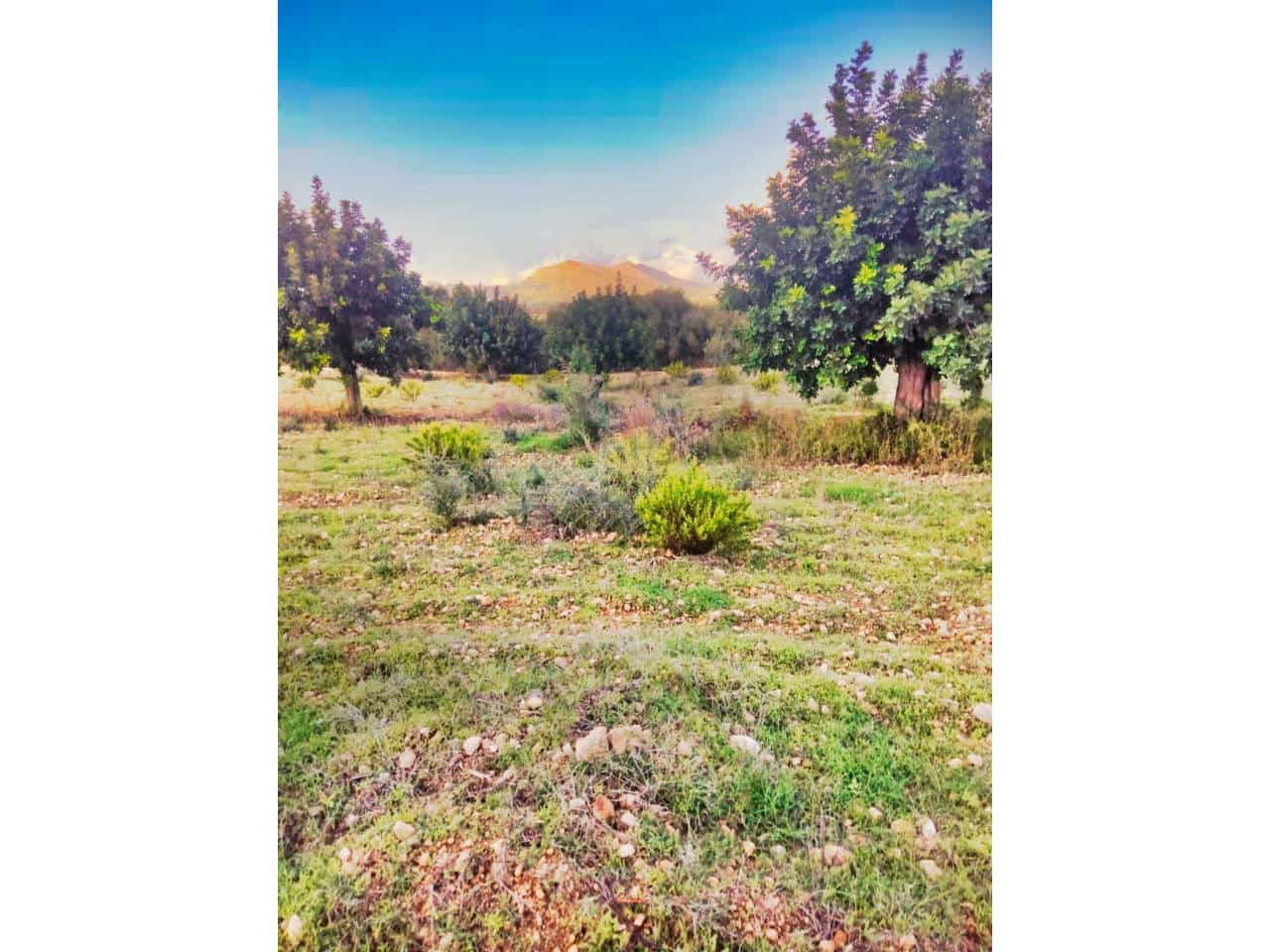 Teren niezagospodarowany na sprzedaż w Sant Llorenc des Cardassar - 285 000 € (Ref: 9329835)