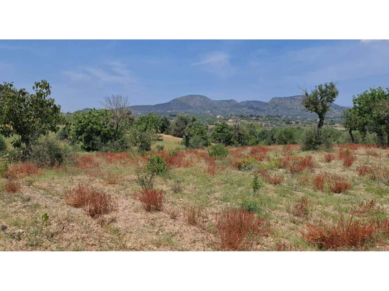 Teren niezagospodarowany na sprzedaż w Sant Llorenc des Cardassar - 285 000 € (Ref: 9329835)