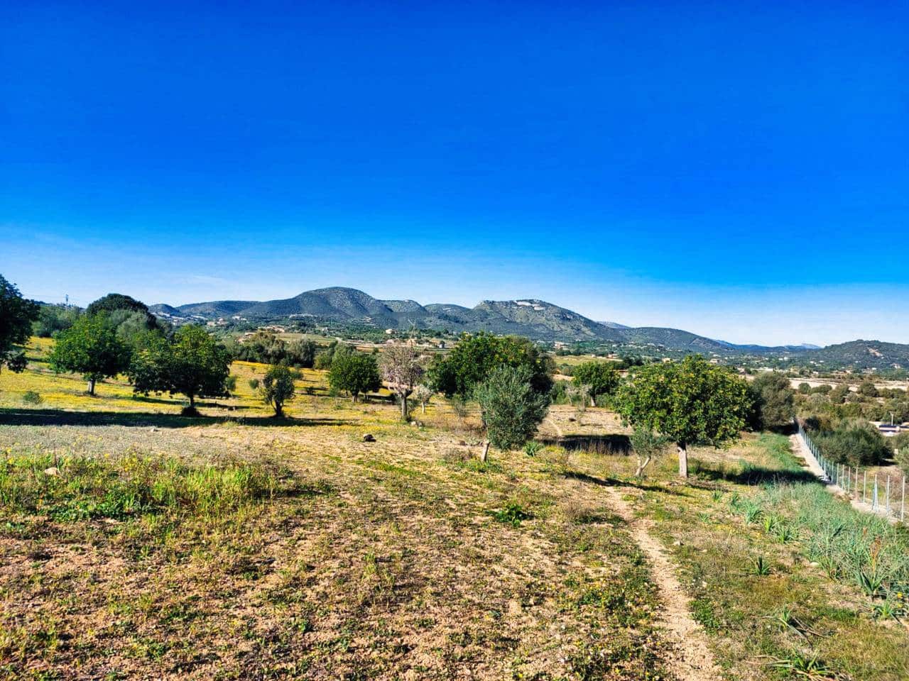 Teren niezagospodarowany na sprzedaż w Sant Llorenc des Cardassar - 285 000 € (Ref: 9329835)