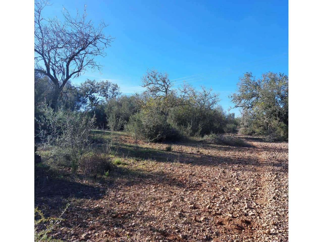 Teren niezagospodarowany na sprzedaż w Sant Llorenc des Cardassar - 285 000 € (Ref: 9329835)