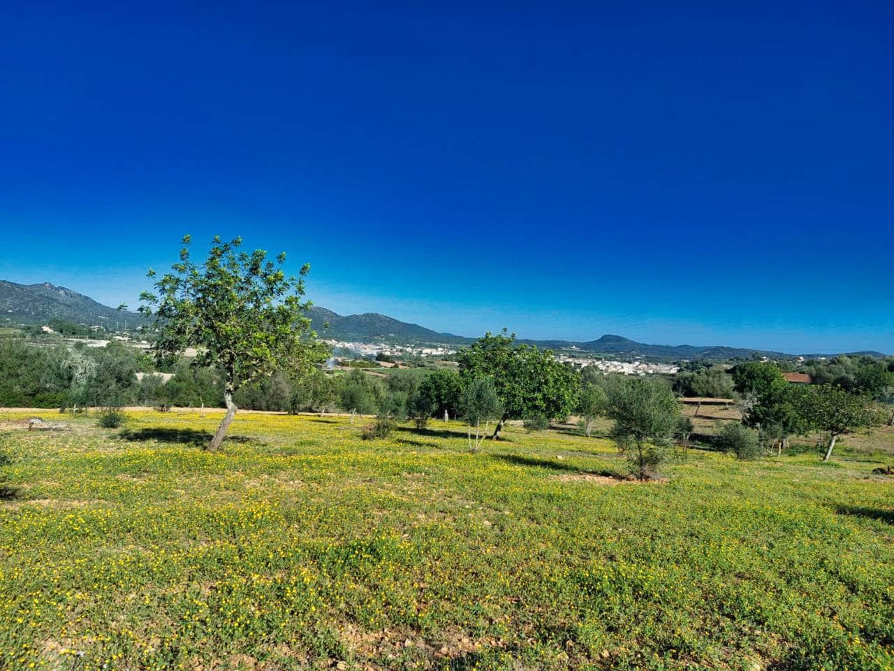 Teren niezagospodarowany na sprzedaż w Sant Llorenc des Cardassar - 285 000 € (Ref: 9329835)