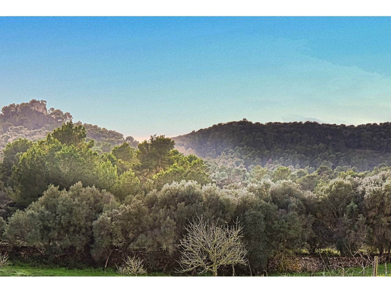 Finca/Landgut zu verkaufen in Manacor - 485.000 € (Ref: 9468017)