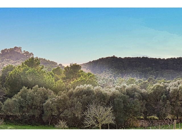 Finca/Landgut zu verkaufen in Manacor - 485.000 € (Ref: 9468017)