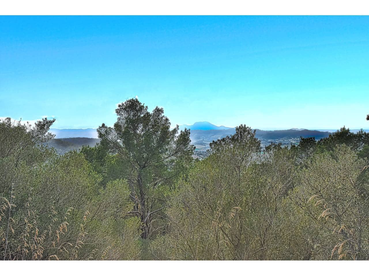 Finca/Landgut zu verkaufen in Manacor - 485.000 € (Ref: 9468017)