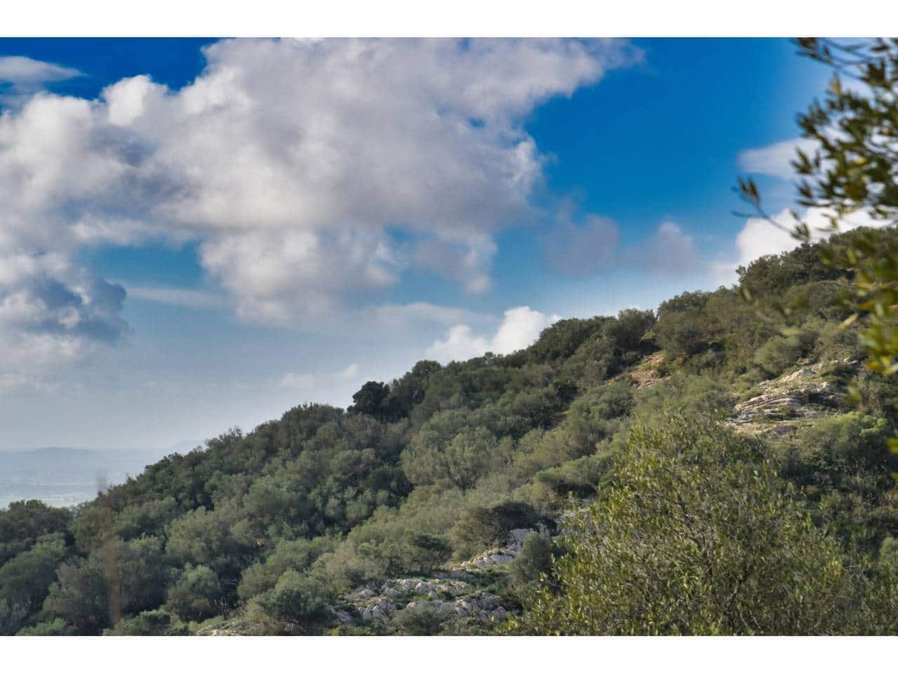 Finca/Landgut zu verkaufen in Manacor - 485.000 € (Ref: 9468017)