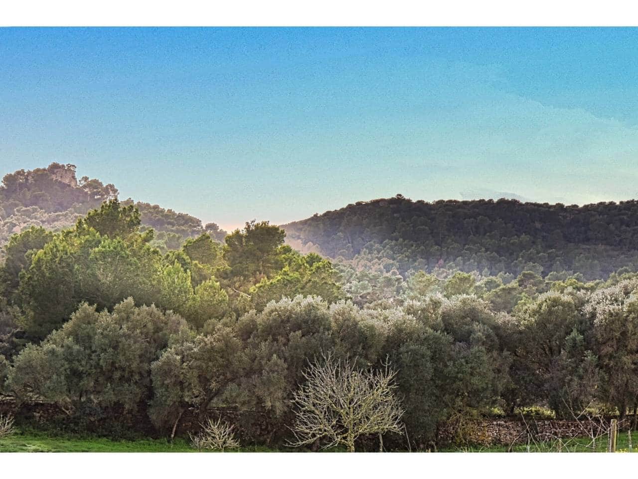 Finca/Landgut zu verkaufen in Manacor - 485.000 € (Ref: 9468017)