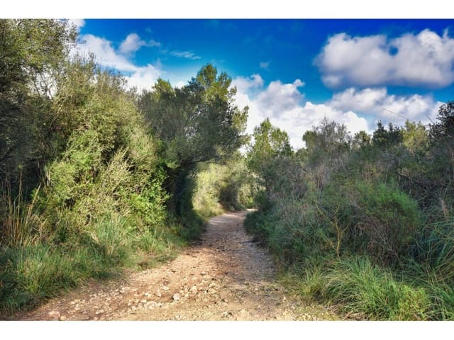 Finca/Landgut zu verkaufen in Manacor - 485.000 € (Ref: 9468017)