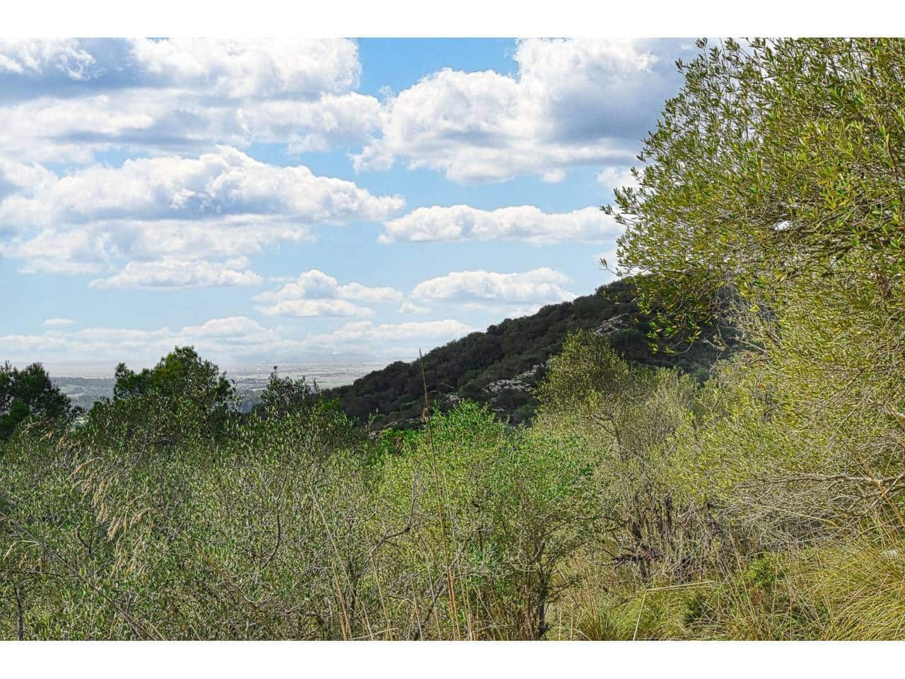 Finca/Landgut zu verkaufen in Manacor - 485.000 € (Ref: 9468017)