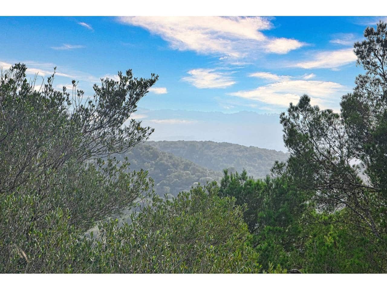 Finca/Landgut zu verkaufen in Manacor - 485.000 € (Ref: 9468017)