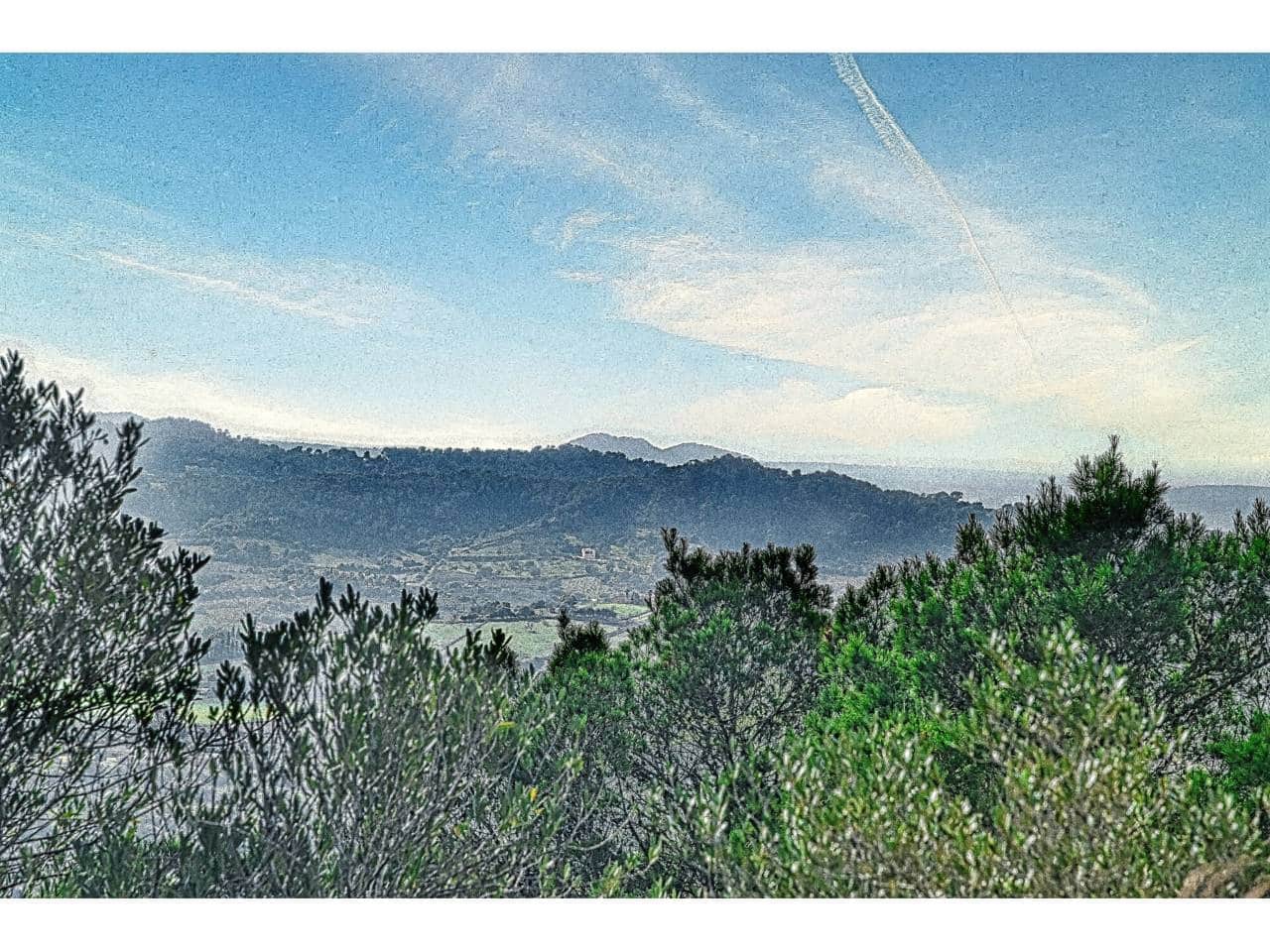 Finca/Landgut zu verkaufen in Manacor - 485.000 € (Ref: 9468017)