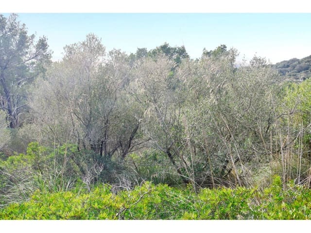 Finca/Landgut zu verkaufen in Manacor - 485.000 € (Ref: 9468017)