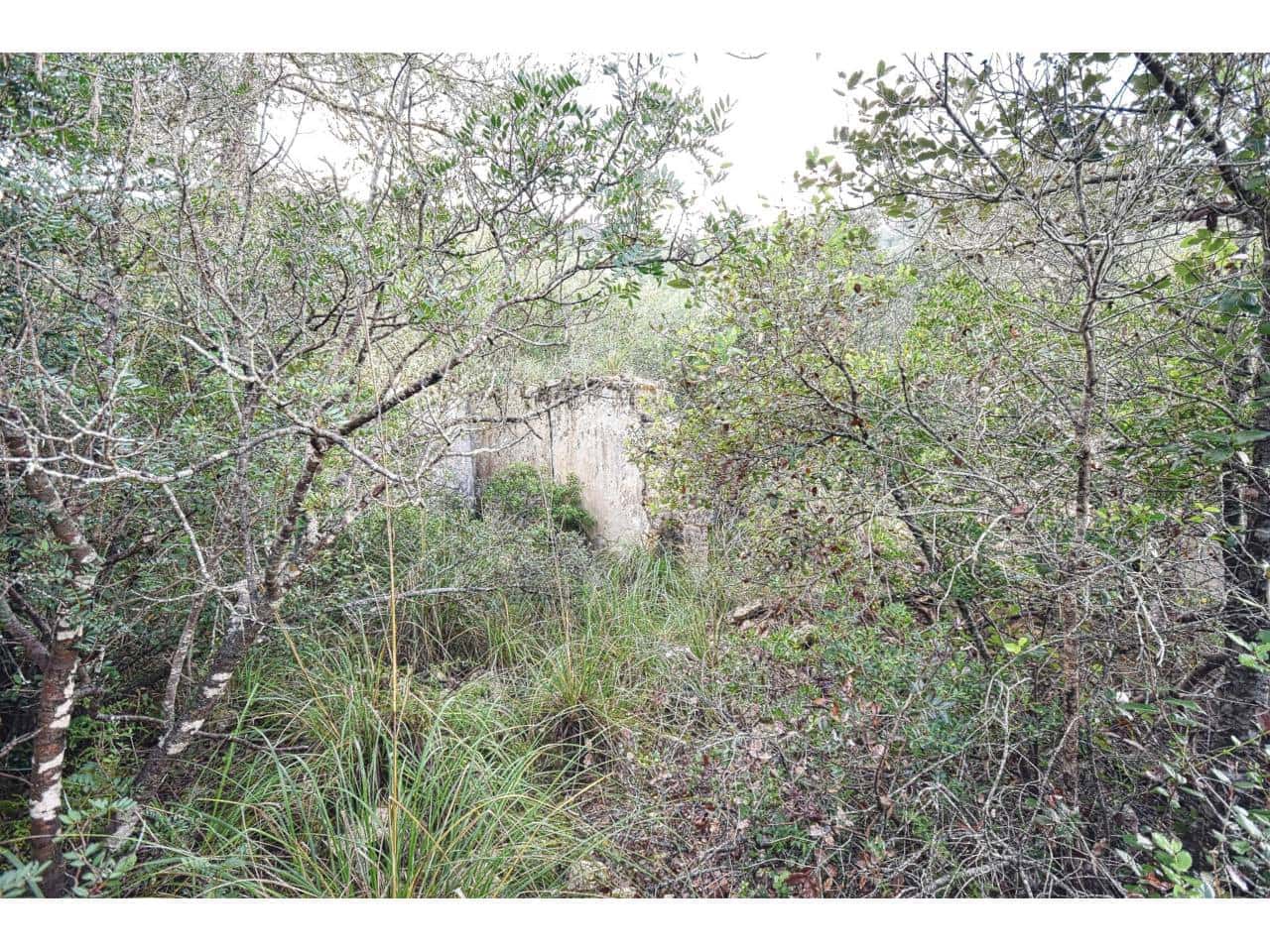 Finca/Landgut zu verkaufen in Manacor - 485.000 € (Ref: 9468017)