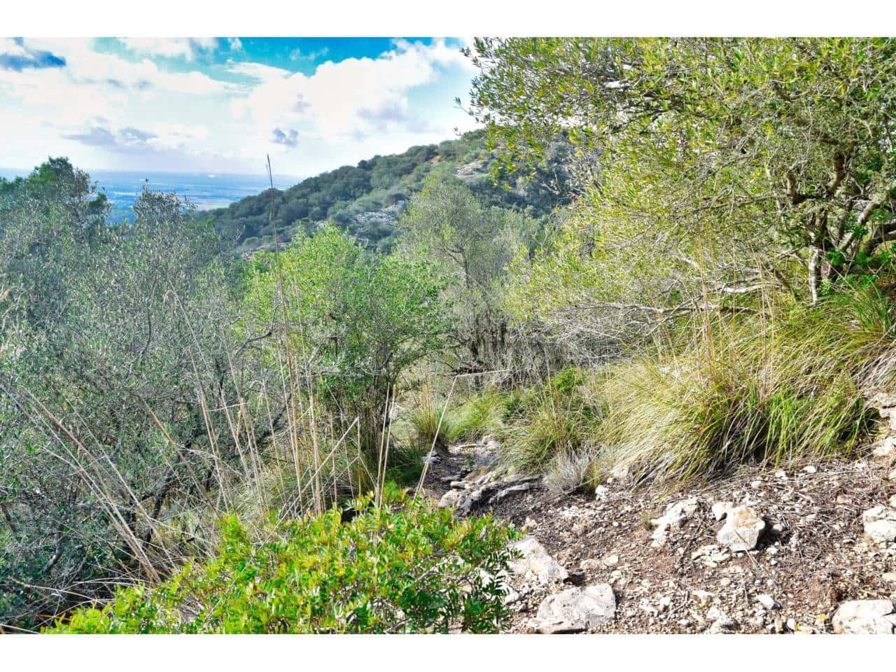 Finca/Landgut zu verkaufen in Manacor - 485.000 € (Ref: 9468017)