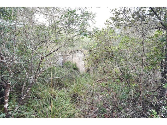 Finca/Landgut zu verkaufen in Manacor - 485.000 € (Ref: 9468017)