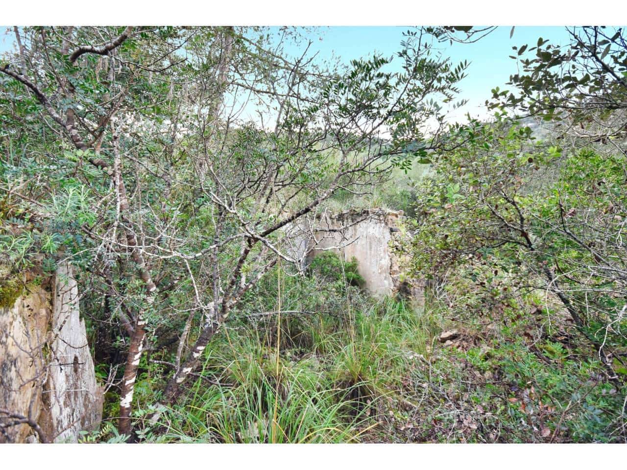 Finca/Landgut zu verkaufen in Manacor - 485.000 € (Ref: 9468017)