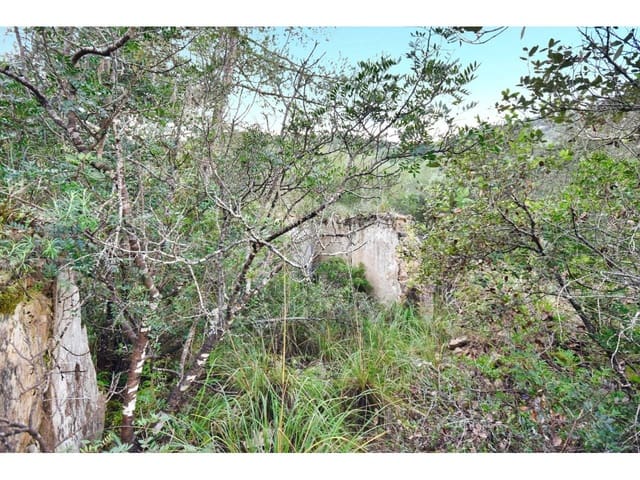 Finca/Landgut zu verkaufen in Manacor - 485.000 € (Ref: 9468017)