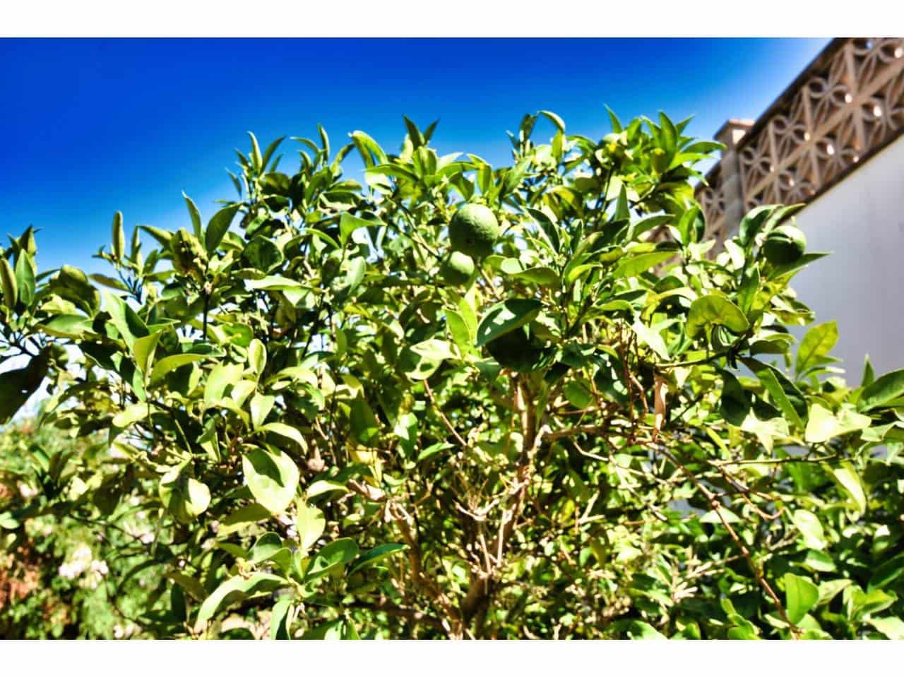 4 bedroom Villa for sale in Sa Coma with pool - € 757,000 (Ref: 9503615)