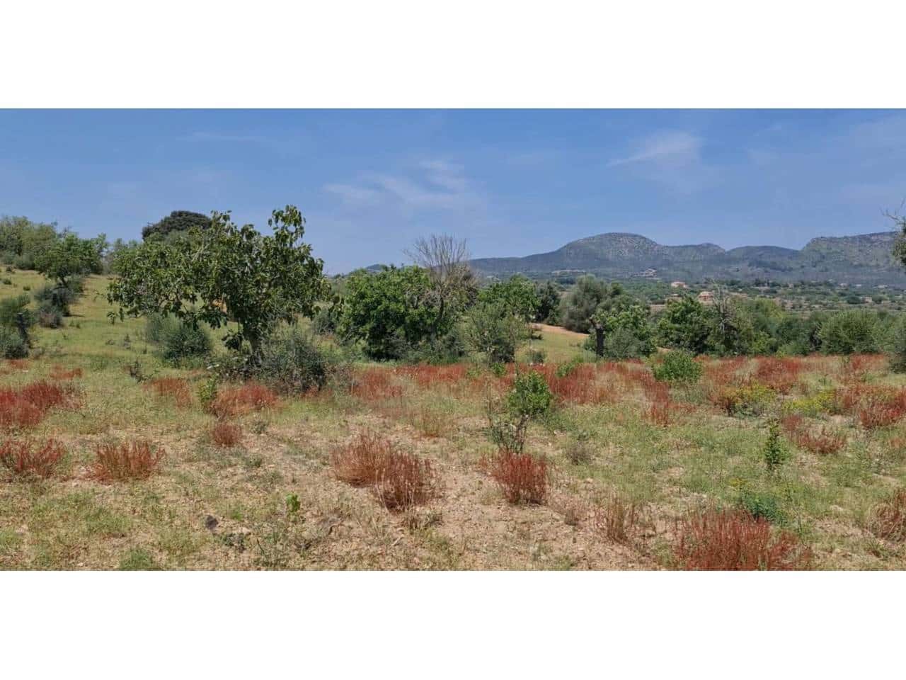 Grunde uden byggetilladelser til salg i Sant Llorenc des Cardassar - € 310.000 (Ref: 9665352)