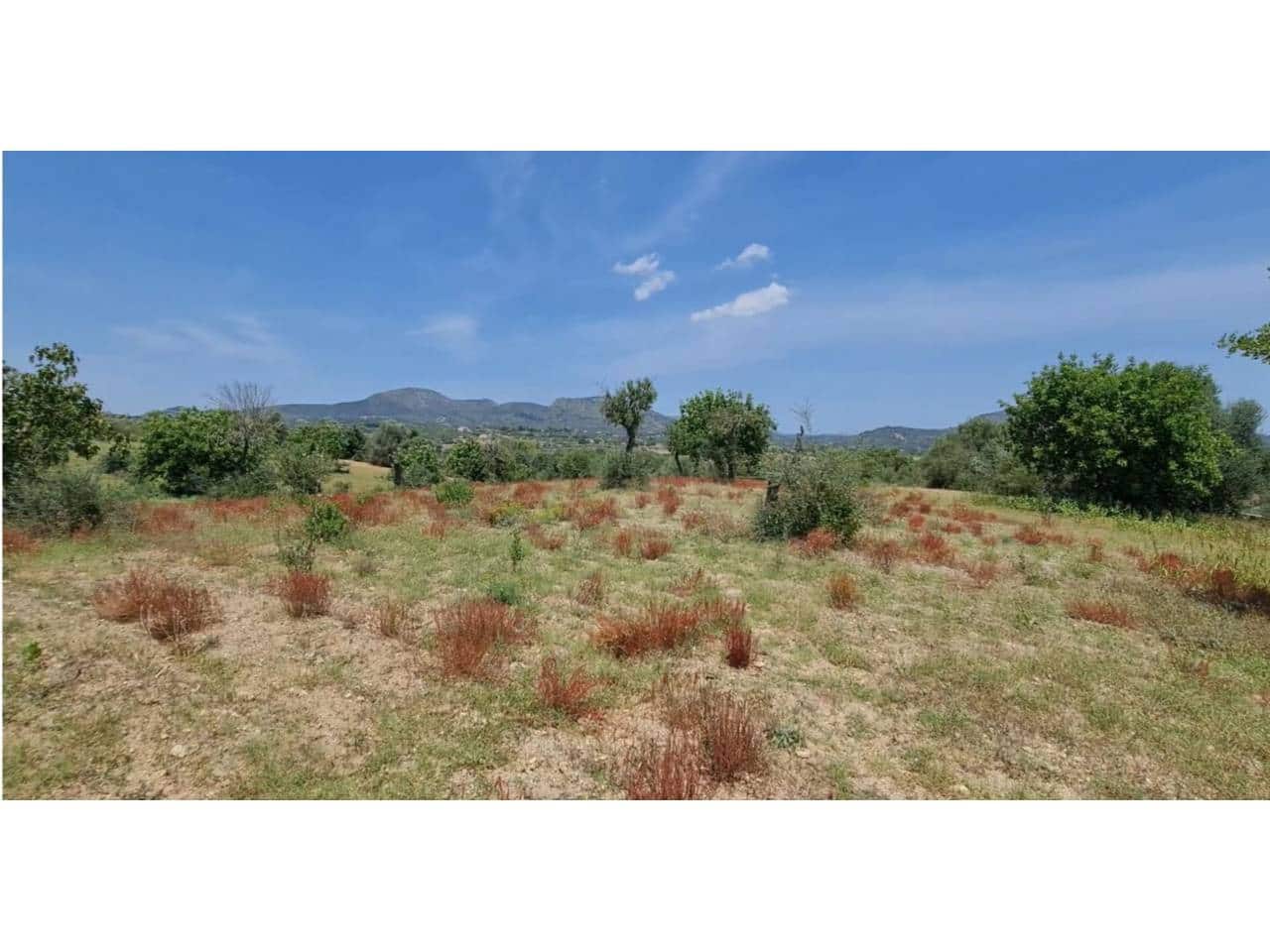 Grunde uden byggetilladelser til salg i Sant Llorenc des Cardassar - € 310.000 (Ref: 9665352)