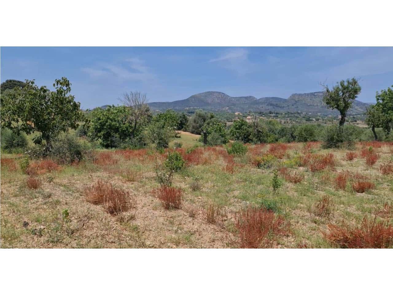 Grunde uden byggetilladelser til salg i Sant Llorenc des Cardassar - € 310.000 (Ref: 9665352)