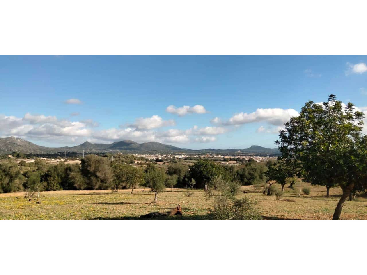 Grunde uden byggetilladelser til salg i Sant Llorenc des Cardassar - € 310.000 (Ref: 9665352)