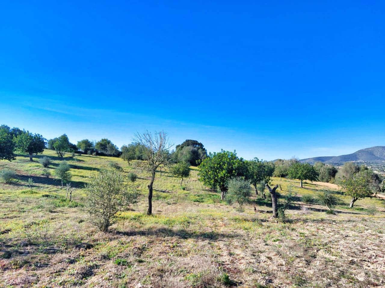 Grunde uden byggetilladelser til salg i Sant Llorenc des Cardassar - € 310.000 (Ref: 9665352)