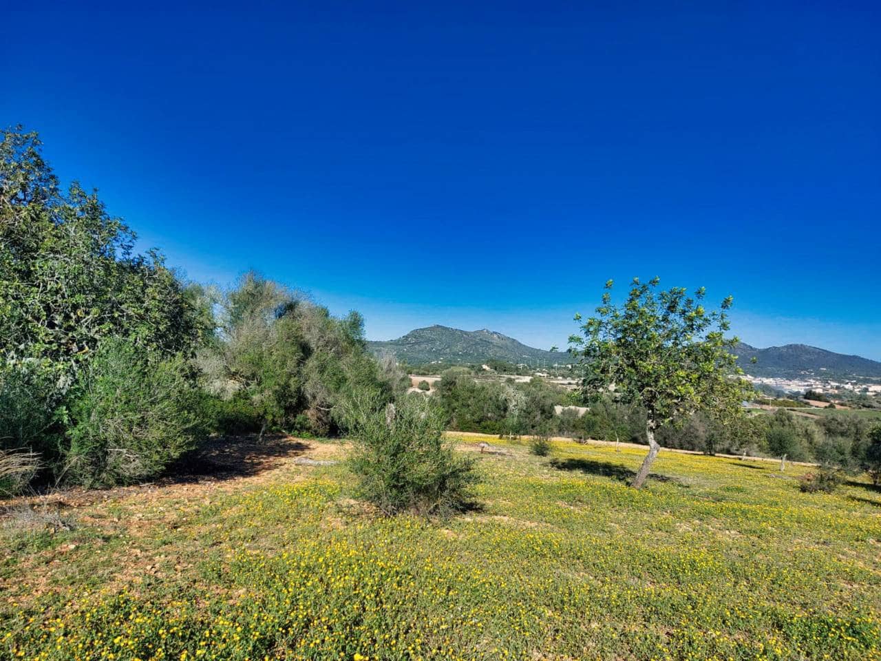 Grunde uden byggetilladelser til salg i Sant Llorenc des Cardassar - € 310.000 (Ref: 9665352)