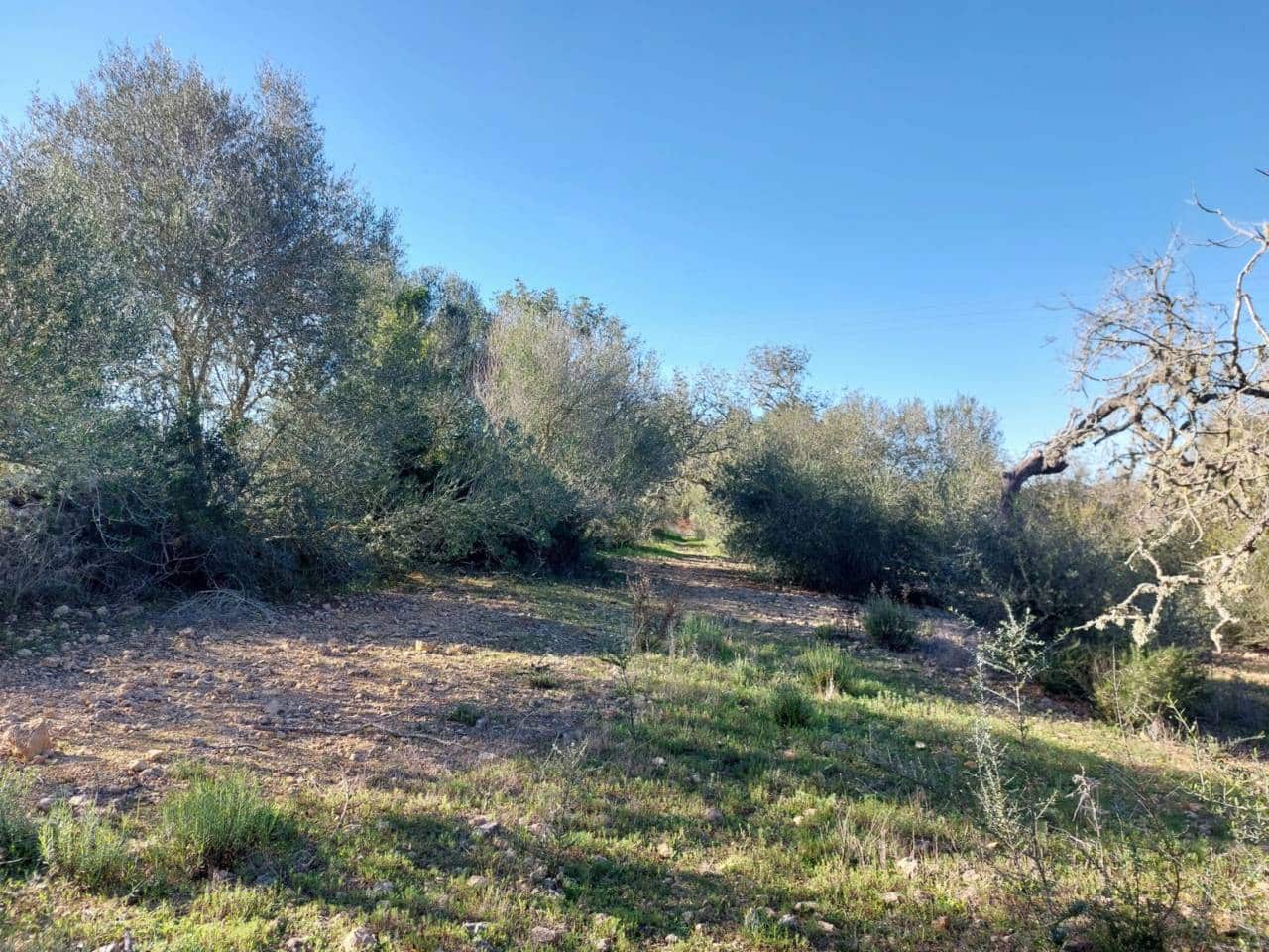 Grunde uden byggetilladelser til salg i Sant Llorenc des Cardassar - € 310.000 (Ref: 9665352)