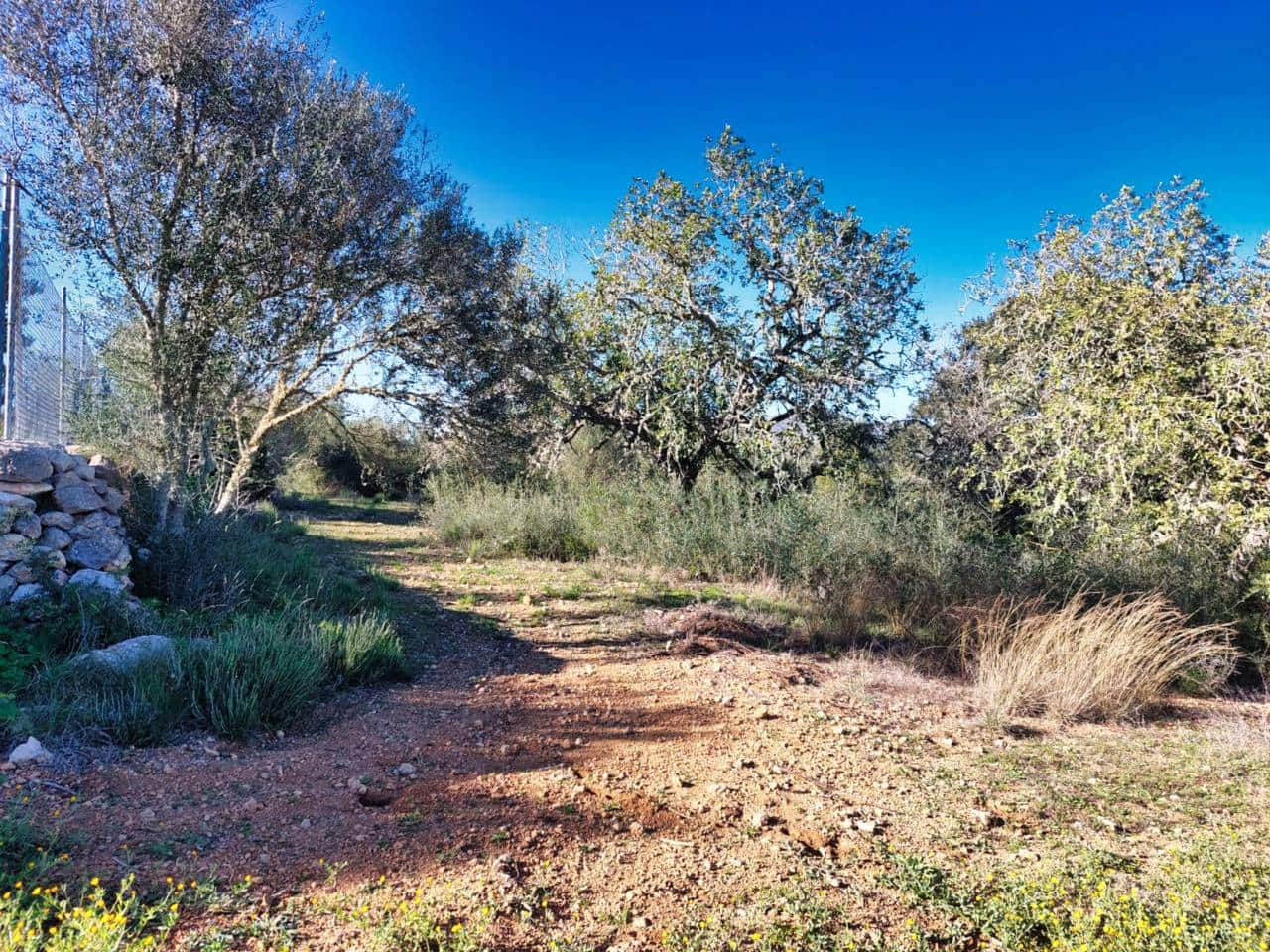 Grunde uden byggetilladelser til salg i Sant Llorenc des Cardassar - € 310.000 (Ref: 9665352)