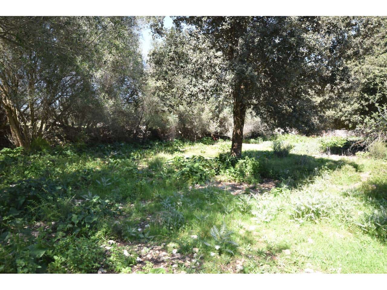 4 bedroom Finca/Country House for sale in Sant Llorenc des Cardassar with pool - € 799,000 (Ref: 9719185)