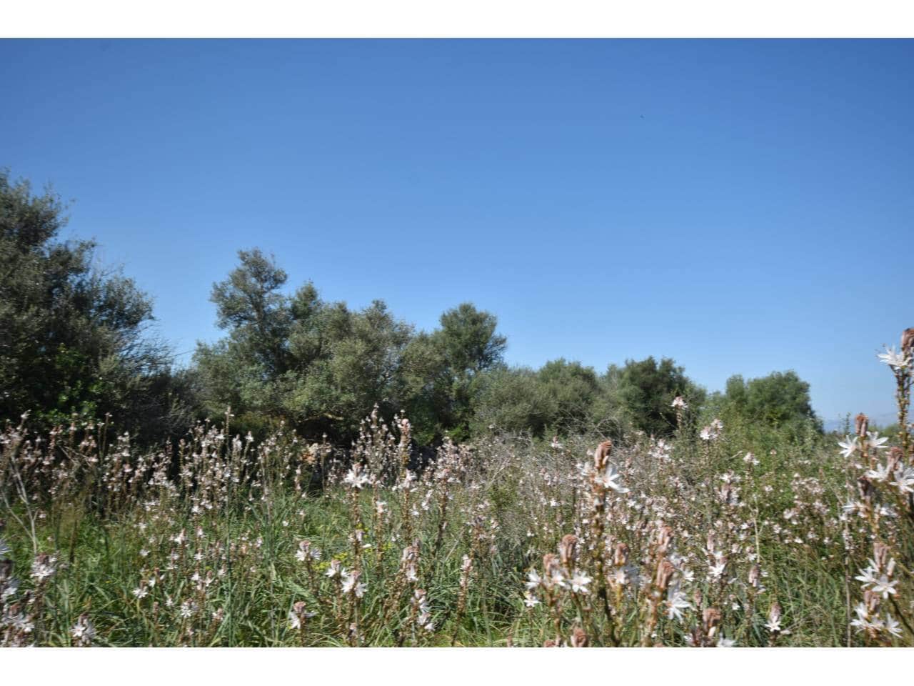 Finca/Country House for sale in Santa Margalida - € 241,000 (Ref: 9719186)