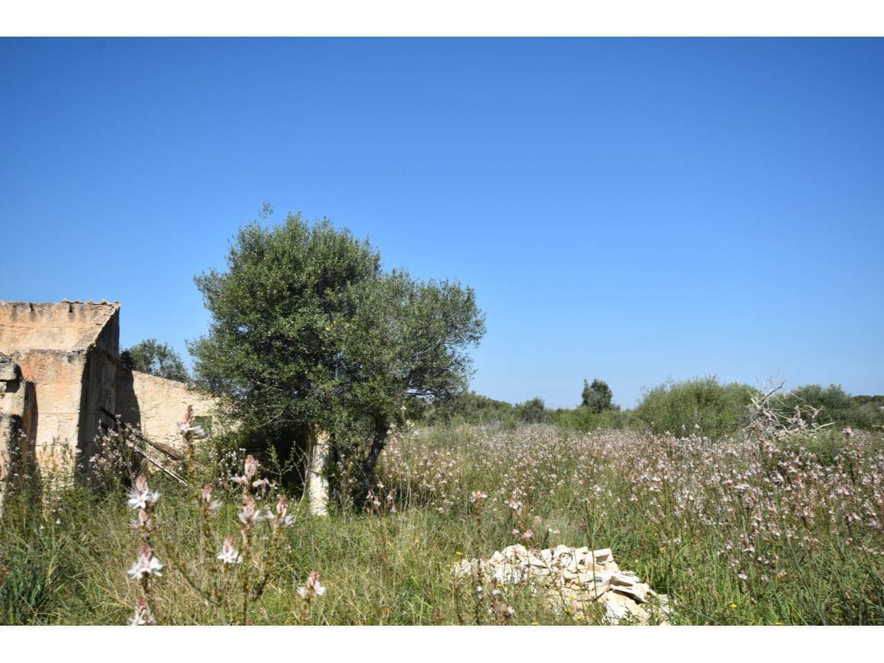 Finca/Country House for sale in Santa Margalida - € 241,000 (Ref: 9719186)