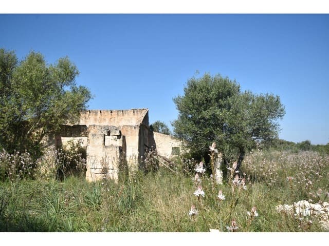 Finca/Casa Rural en Santa Margalida en venta - 241.000 € (Ref: 9719186)