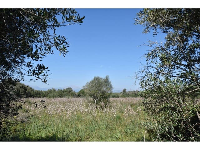 Finca/Casa Rural en Santa Margalida en venta - 241.000 € (Ref: 9719186)