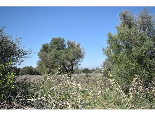 Finca/Casa Rural en Santa Margalida en venta - 241.000 € (Ref: 9719186)