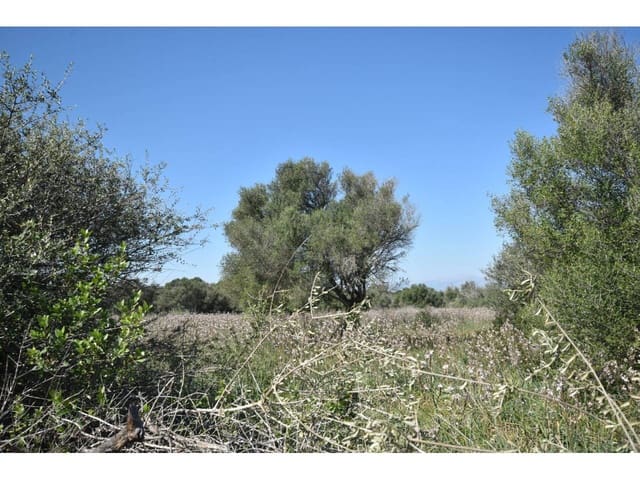 Finca/Casa Rural en Santa Margalida en venta - 241.000 € (Ref: 9719186)