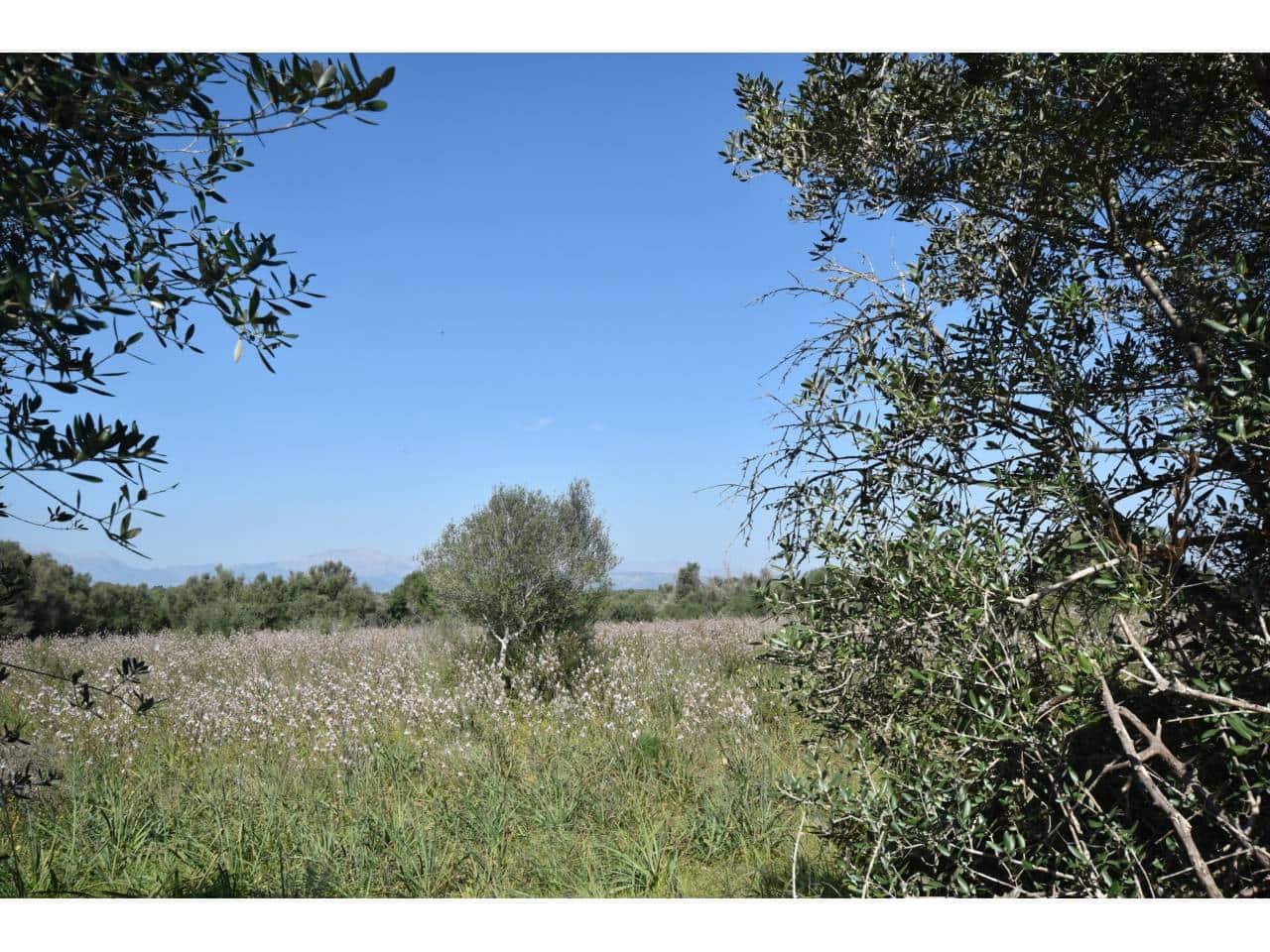 Finca/Country House for sale in Santa Margalida - € 241,000 (Ref: 9719186)