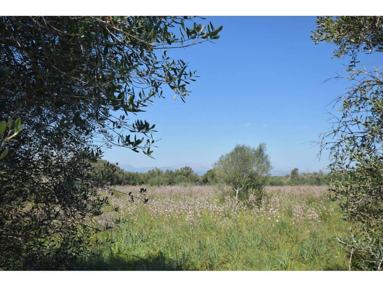 Finca/Country House for sale in Santa Margalida - € 241,000 (Ref: 9719186)