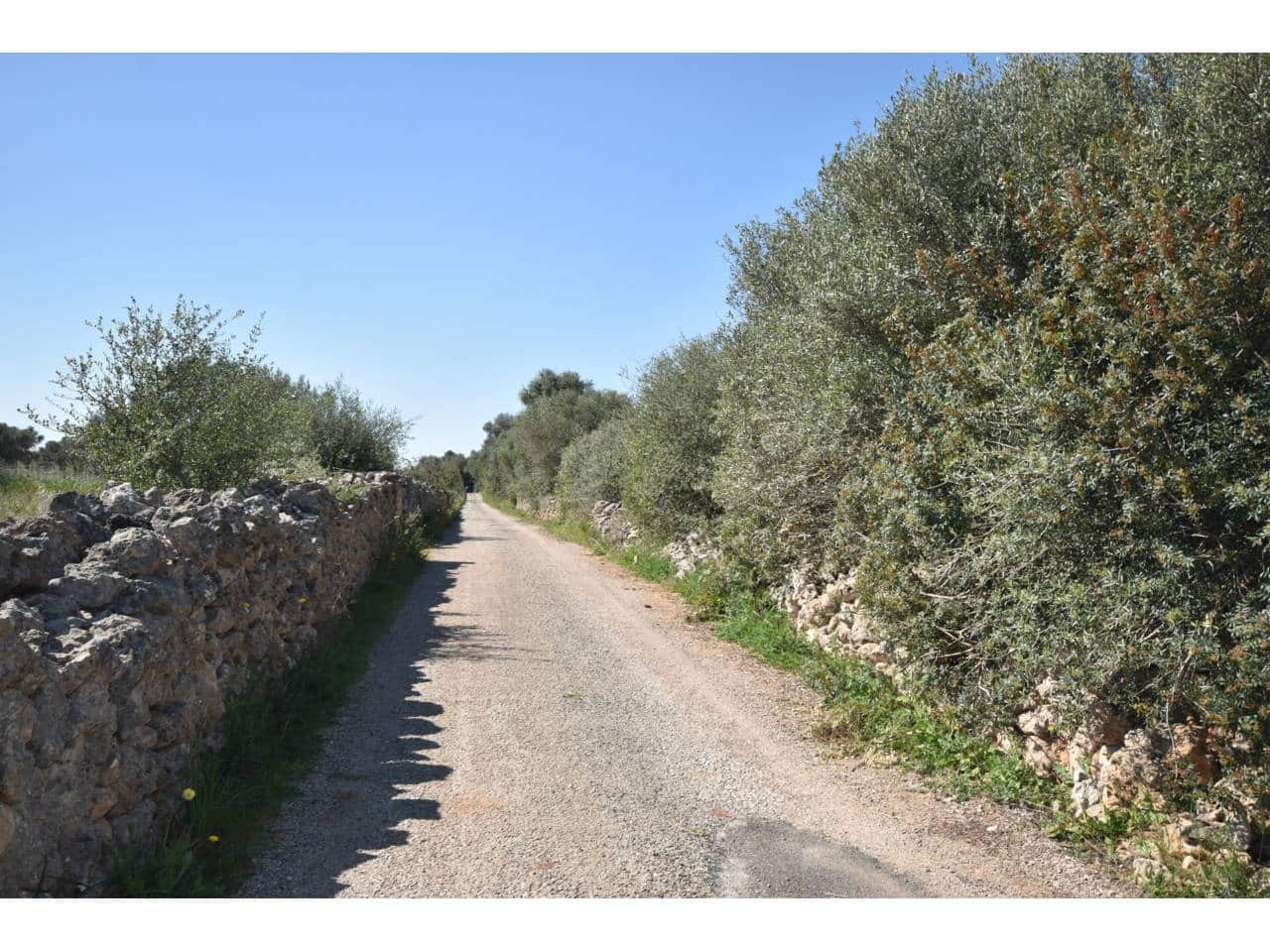 Finca/Country House for sale in Santa Margalida - € 241,000 (Ref: 9719186)