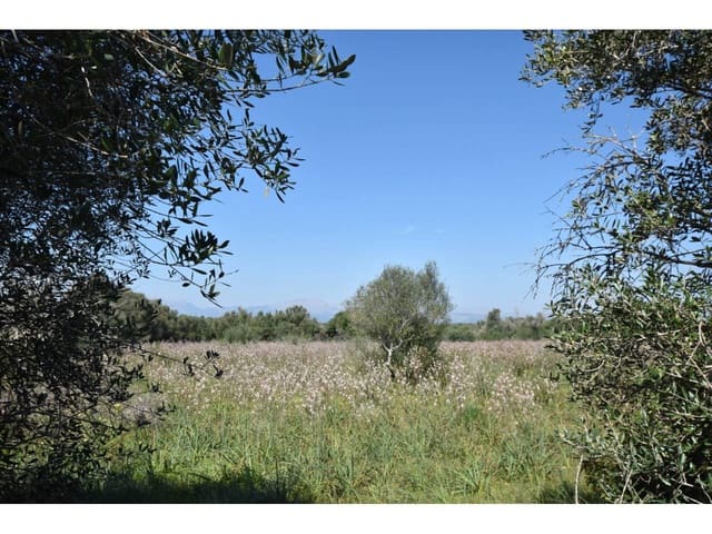 Finca/Casa Rural en Santa Margalida en venta - 241.000 € (Ref: 9719186)