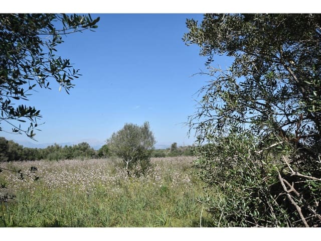 Finca/Casa Rural en Santa Margalida en venta - 241.000 € (Ref: 9719186)